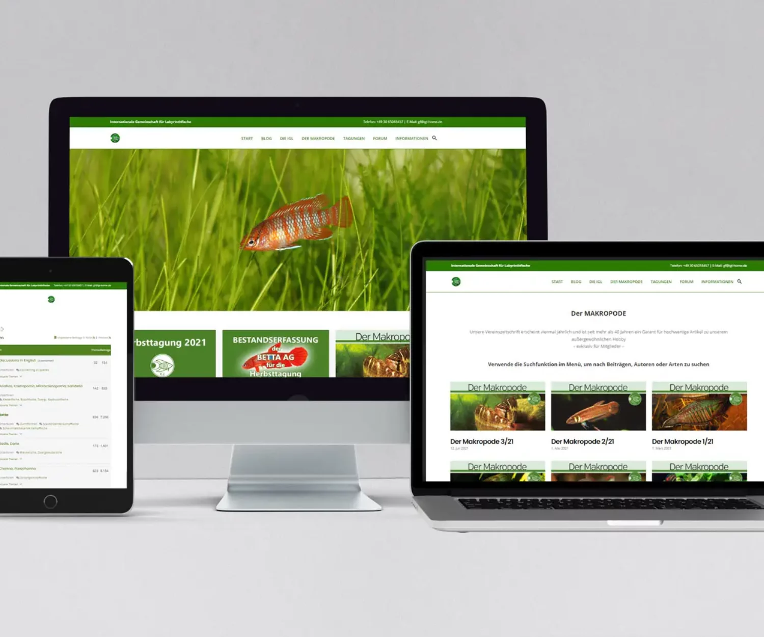 webdesign